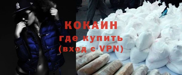 твердый Заводоуковск