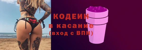 твердый Заводоуковск