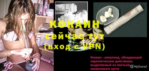 твердый Заводоуковск
