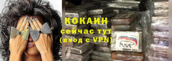твердый Заводоуковск