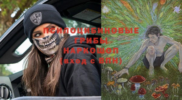 твердый Заводоуковск