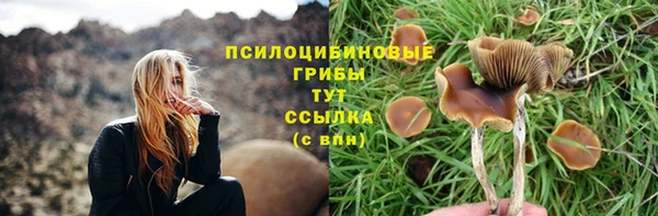 СК Заволжье