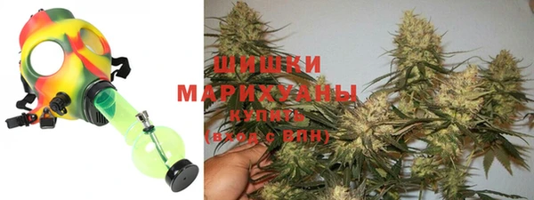 твердый Заводоуковск