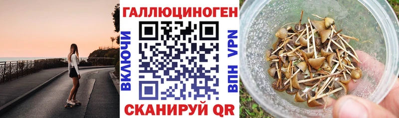 Псилоцибиновые грибы MAGIC MUSHROOMS  наркотики  Жуковский 